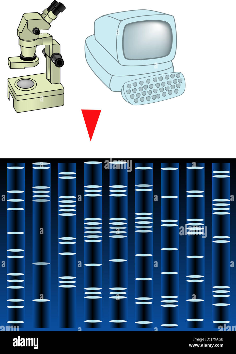 Wissenschaft Forschung Abbildung Fortschritt bedeutet Agent Medizin Medikament Abhilfe Stockfoto