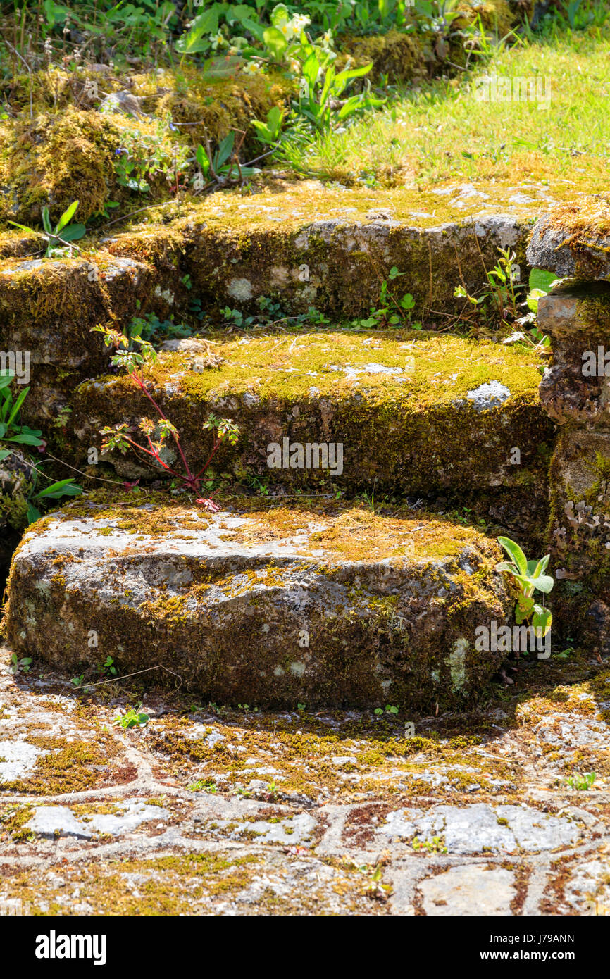 Moos bedeckt Granit Schritte in einem Devon Garten Link zwei Garten-Ebenen Stockfoto