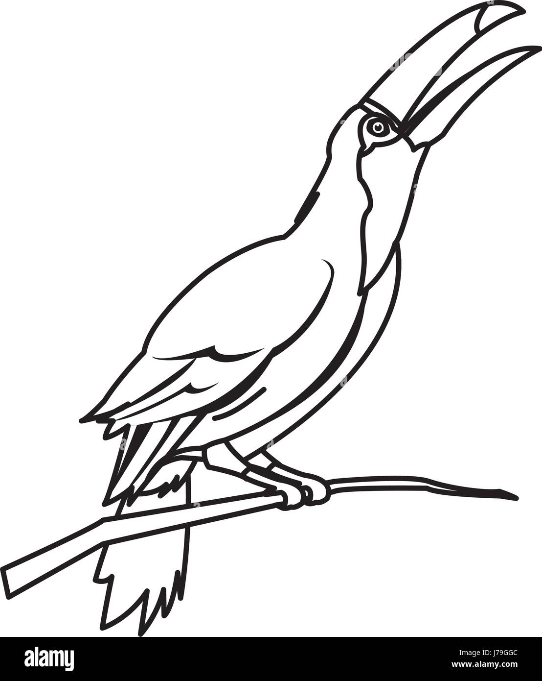 Tukan Vogel auf die Natur in Brasilien Stock Vektor