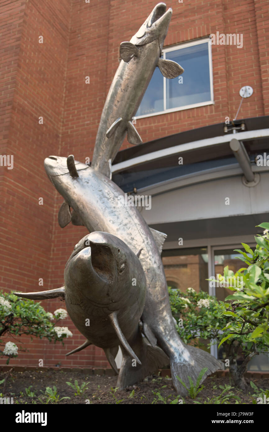 springenden Lachs, eine Skulptur von David Wynne, Kingston nach Themse, Surrey, england Stockfoto