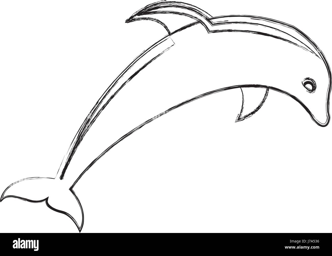 Cartoon Delfin Schwarzweiss Stockfotos Und Bilder Alamy