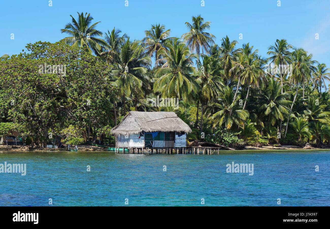 Küste mit tropischer Vegetation und ein rustikales Haus auf Stelzen über dem Wasser, Insel Bastimentos, Bocas del Toro, Panama, Karibik, Mittel- Stockfoto