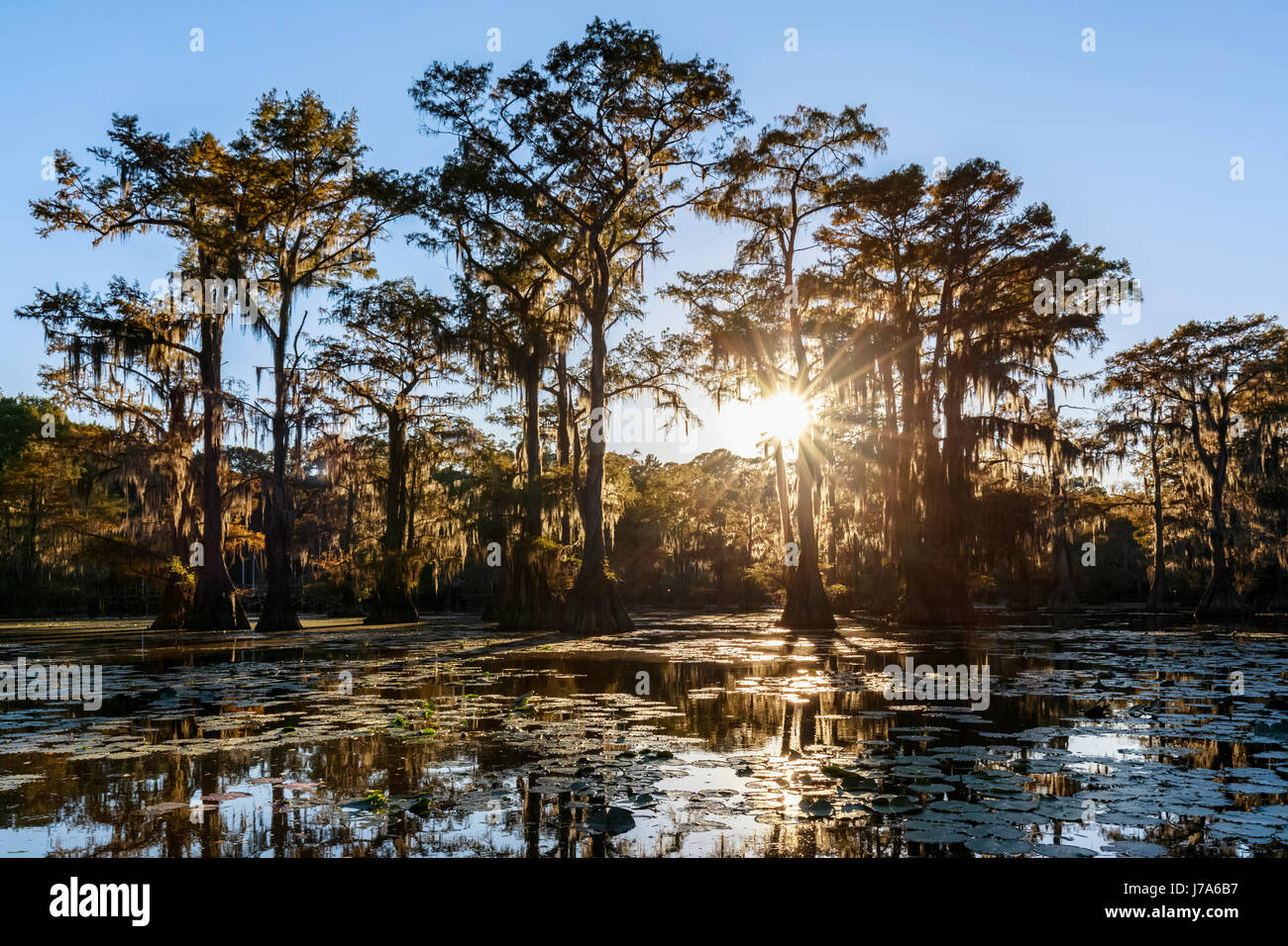 USA, Texas, Louisiana, Caddo Lake State Park, sah Mühlenteich, kahle Zypressenwald Stockfoto