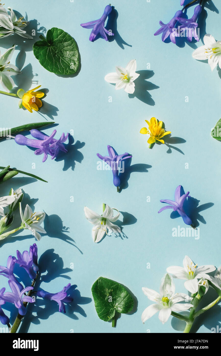 Blüten auf hellblauem Hintergrund Stockfoto