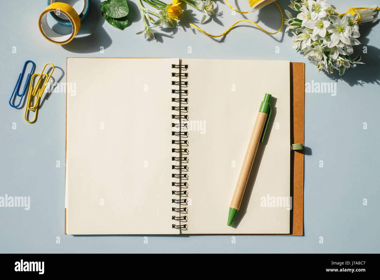 Notebook, Bürobedarf und Frühlingsblumen auf hellblauem Hintergrund Stockfoto