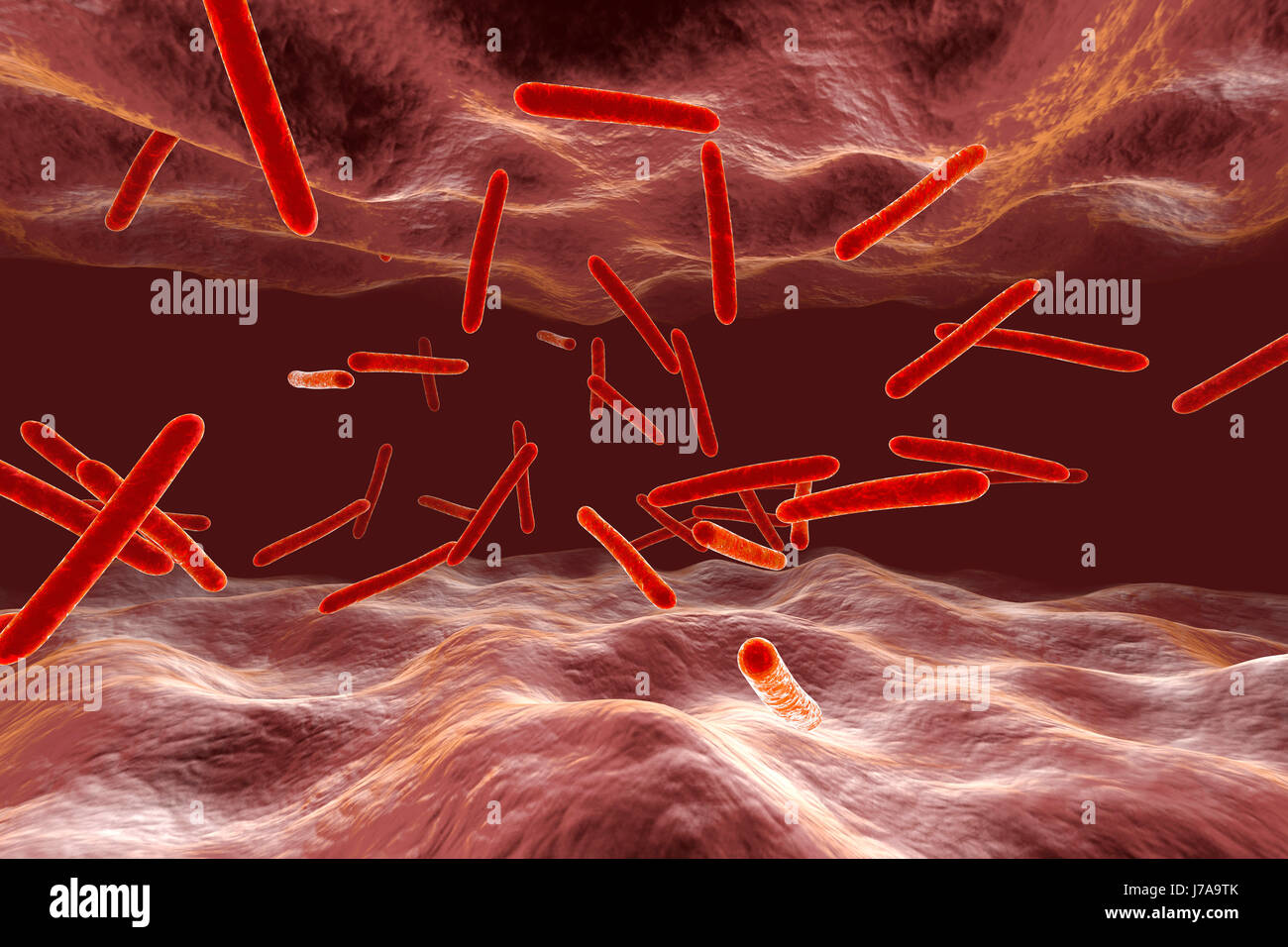 Tuberkulose-Bakterien im Organismus, 3D Rendering Stockfoto