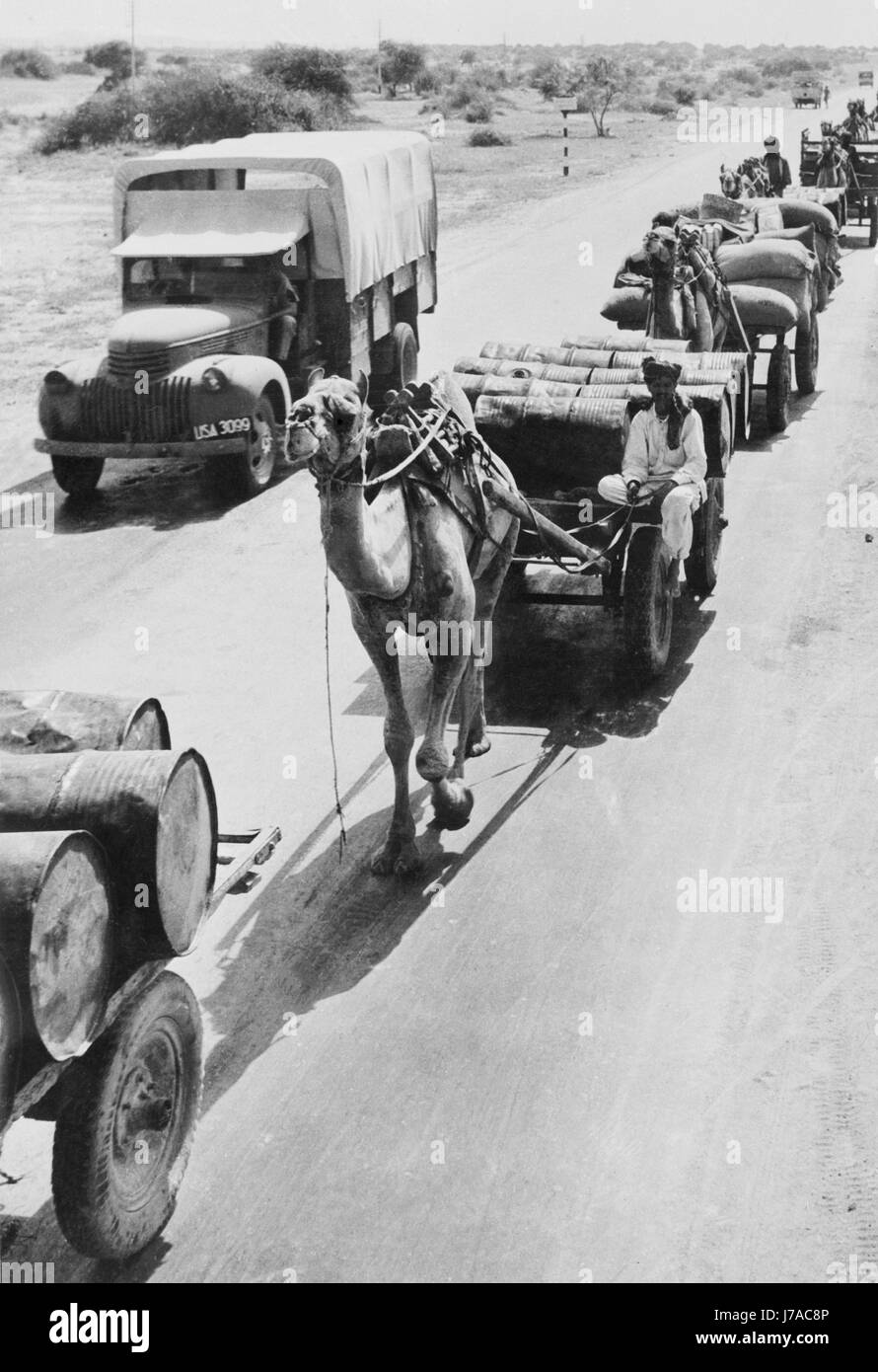 Krieg-Versorgungsmaterialien werden von Kamelen auf einer Autobahn in Indien, ca. 1942 transportiert. Stockfoto