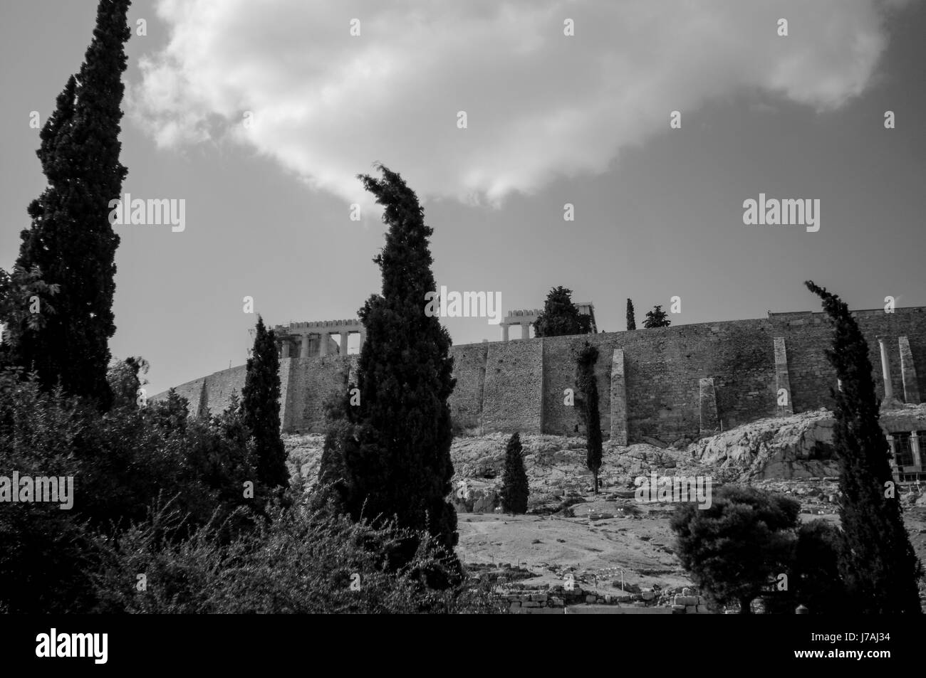 Zypressen in den Vordergrund der Akropolis, Athen, gedreht in schwarz und weiß Stockfoto