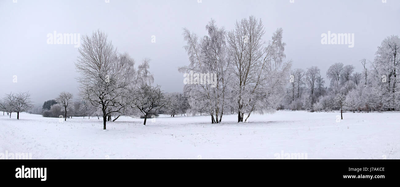 Winter Panorama Stockfoto