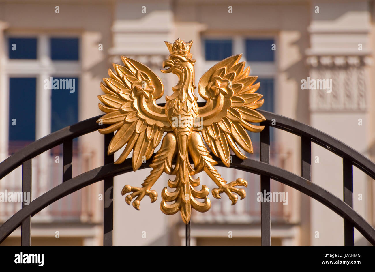 Vogel Adler Polen Warschau Polnisch Polieren Patriotismus Piktogramm symbol Stockfoto