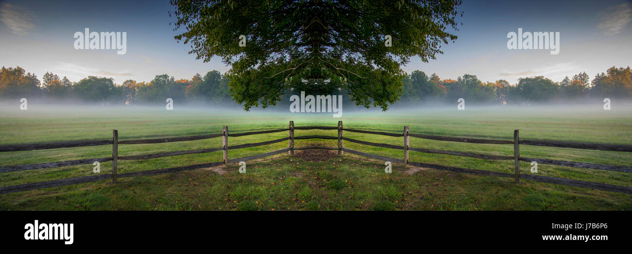 Symmetrische Landschaft mit schwebenden Baum, Nebel & Zaun Stockfoto