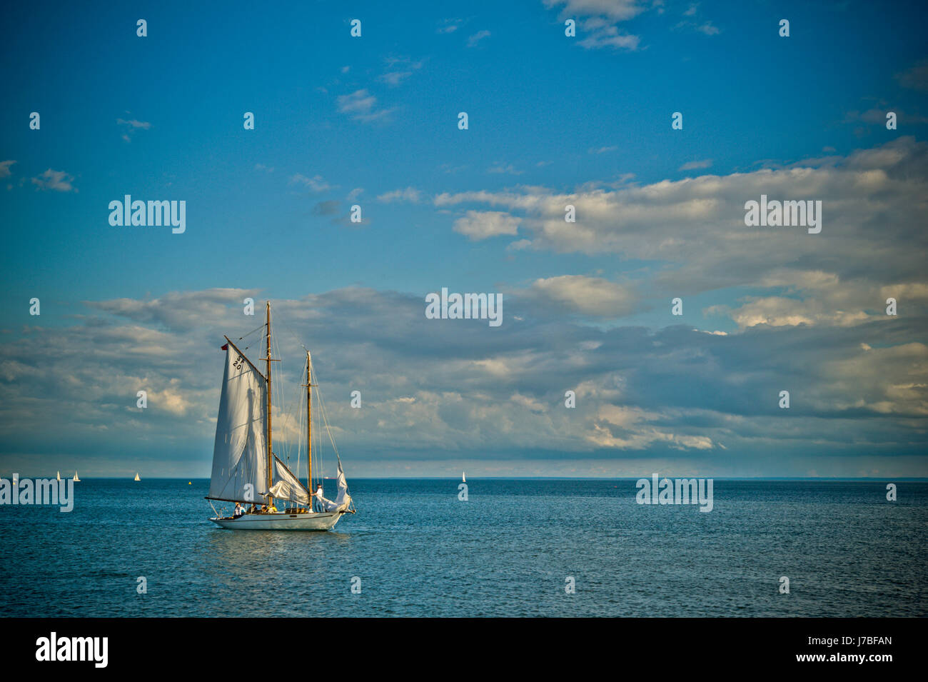 Yachten, Segeln am Lake Ontario Stockfoto