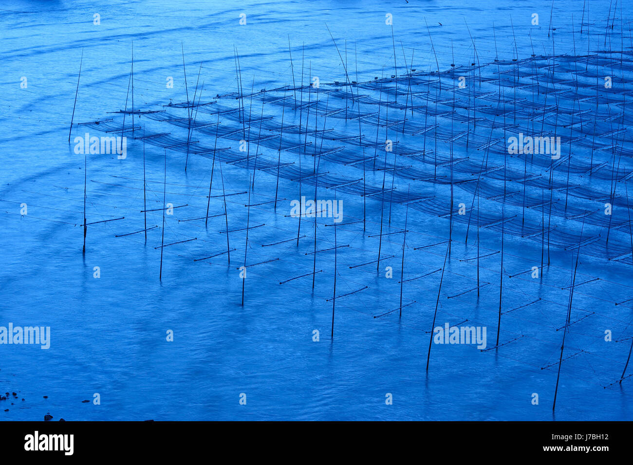 Asien-Landwirtschaft Landwirtschaft China Bauernhof Algen Salzwasser Meer Ozeanwasser blau Stockfoto