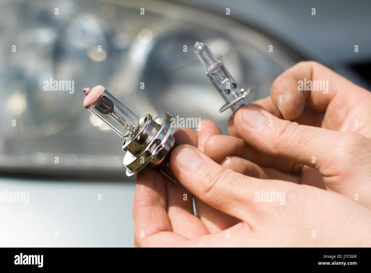 Der Mechaniker Hände halten das H1 und H7 Auto Glühbirnen Arten von Kfz  Glühlampen H1, H7 Stockfotografie - Alamy