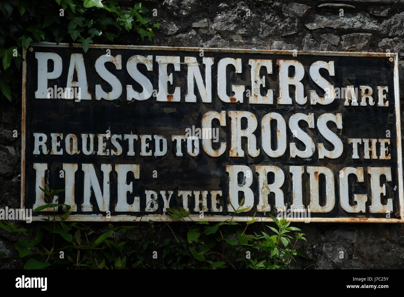 Fahren Sie auf die Dart Valley Railway, Devon Stockfoto