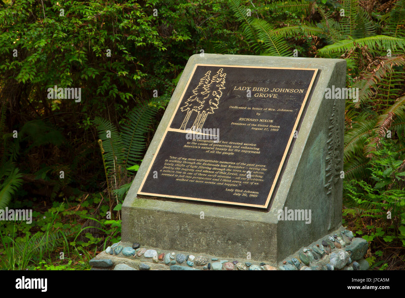 Gedenktafel an Lady Bird Johnson Grove, Redwood National Park, Kalifornien Stockfoto