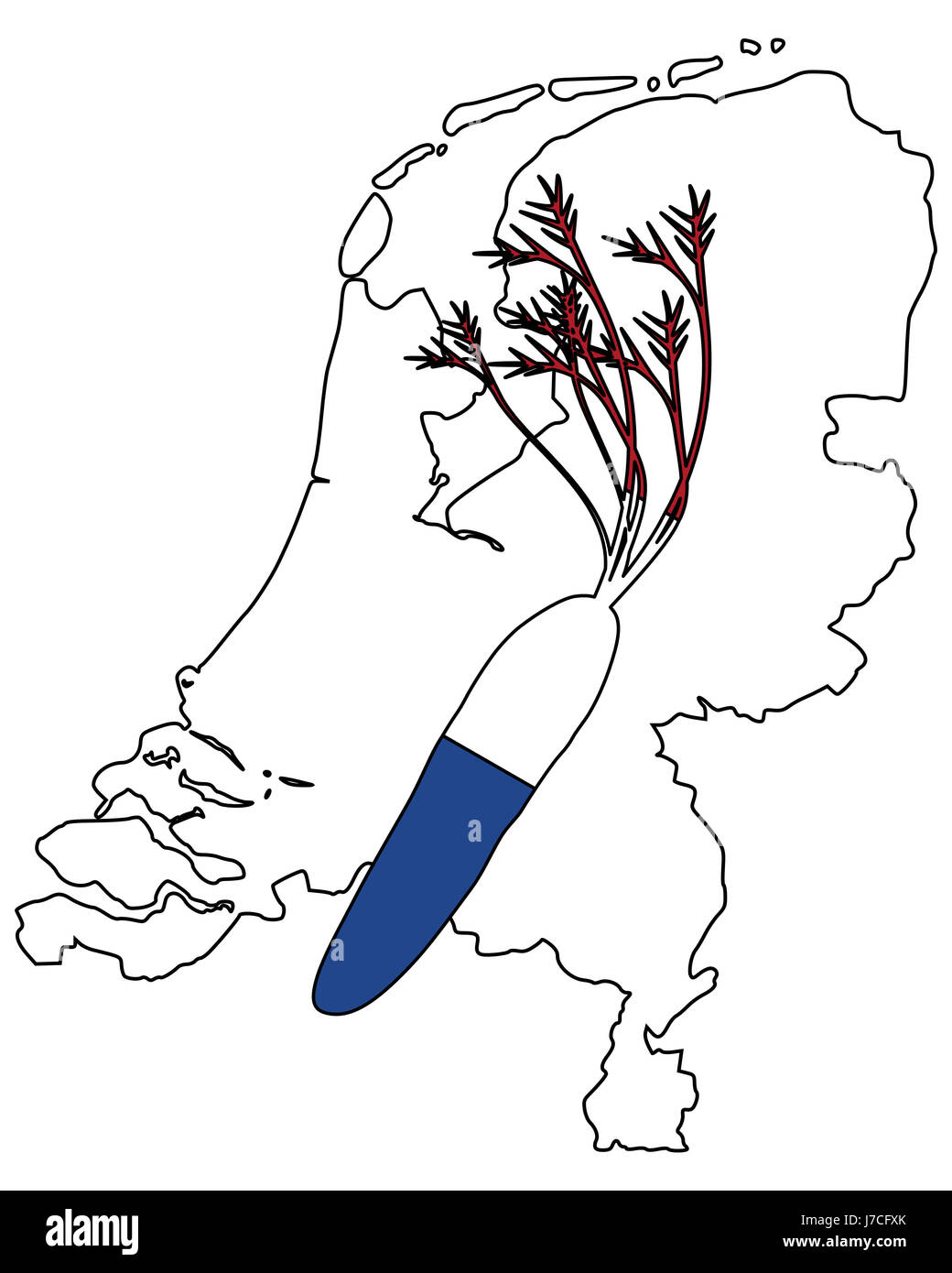 Lebensmittel Nahrungsmittel Holland Niederlande Gemüse Karotte Zeichen signalisieren blaue Lebensmittel Nahrungsmittel Stockfoto