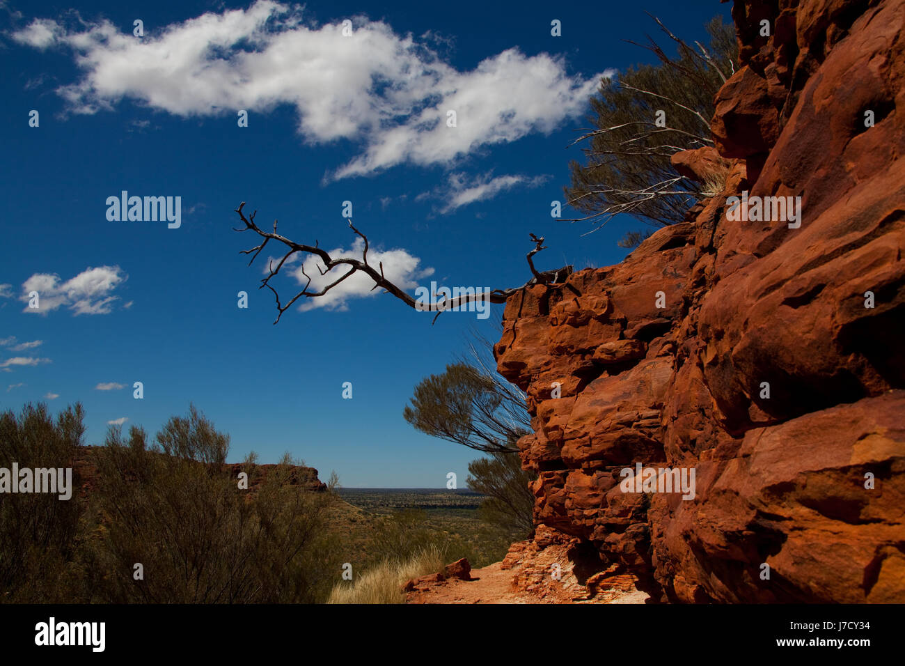 Baum Rock Australien Outback Firmament Himmel Sand Sand roten Wolken Laufwerk blau Stockfoto