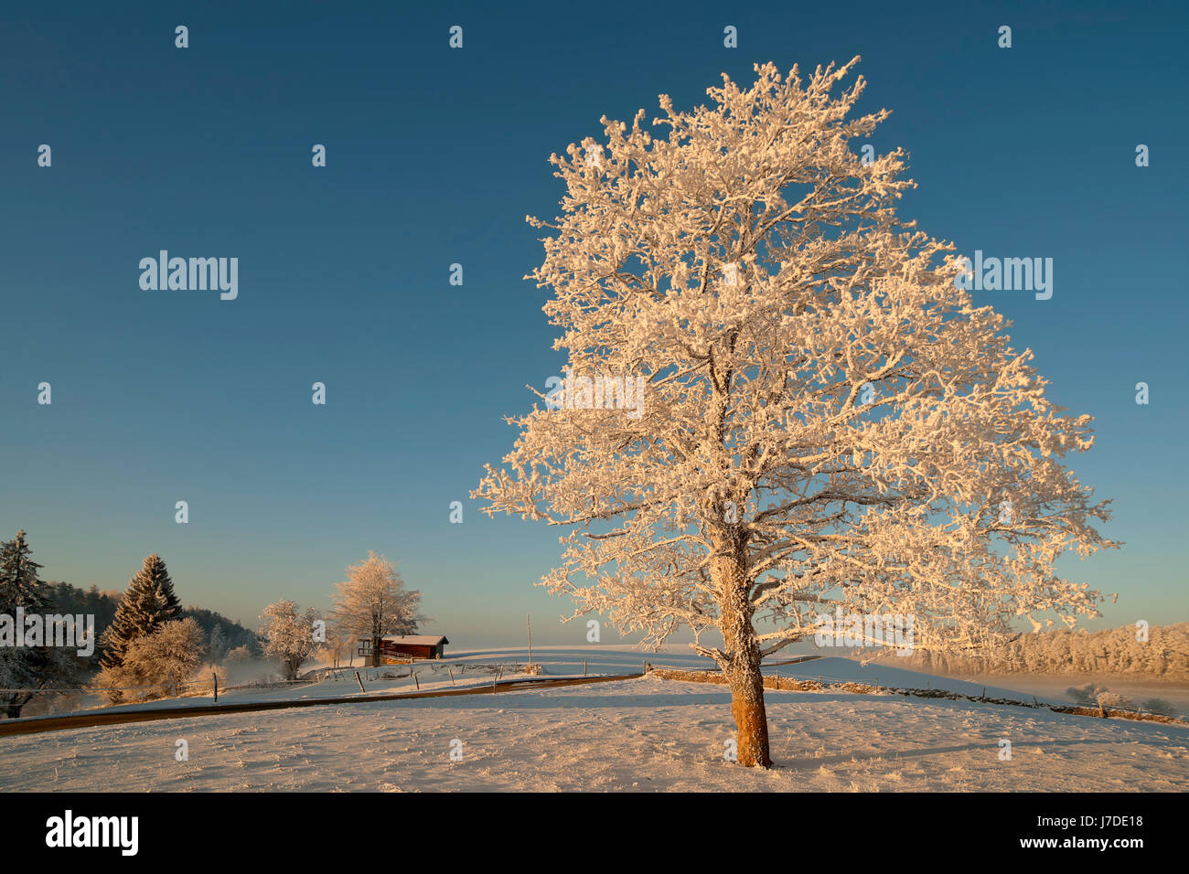 Eiszeit Stockfoto