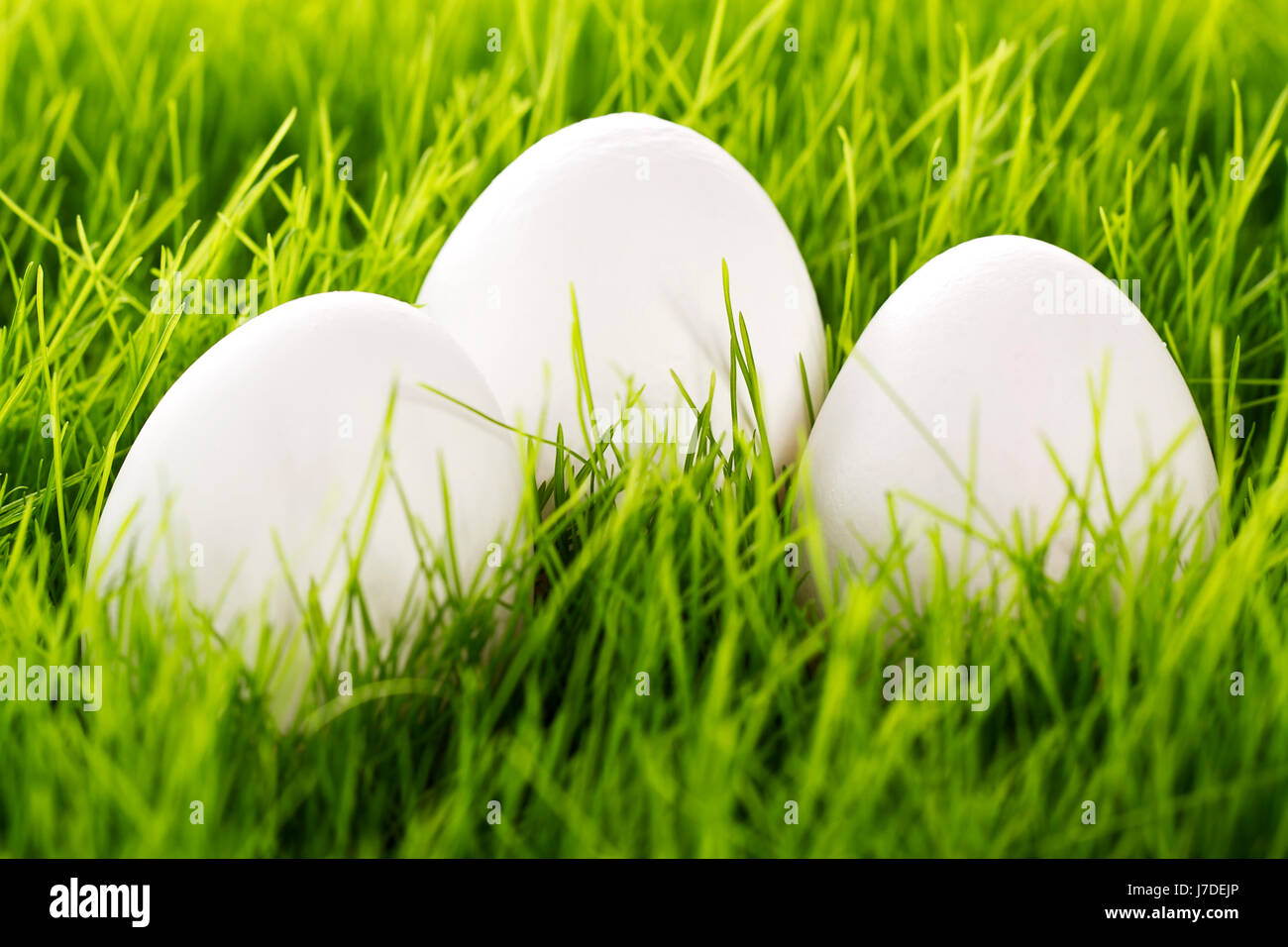 drei weißen Eiern im Rasen Stockfoto