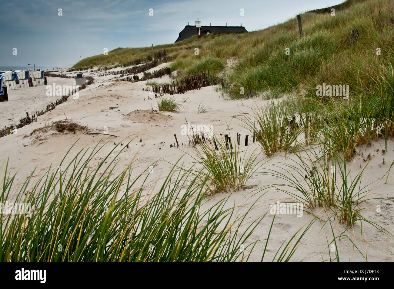 Strand von kampen Stockfoto