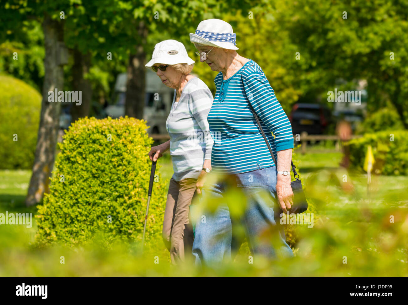 Ältere Frauen, die einen Sommer Spaziergang durch einen Park. Stockfoto