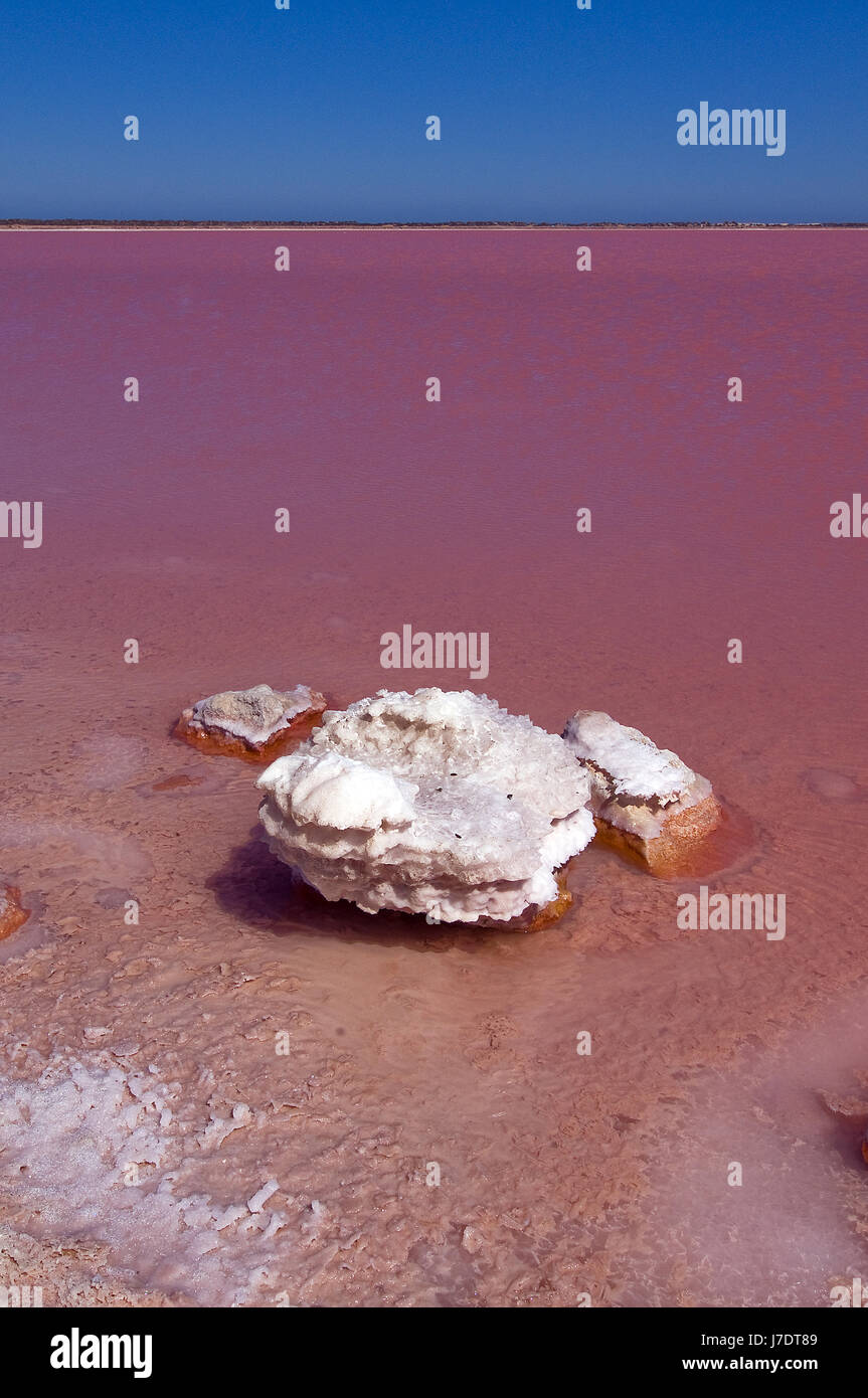 Ein Hochformat von Salz verkrustet Objekt in Hutt Lagoon, oder das rosa See, in der Nähe der Port Gregor in Western Australia Stockfoto