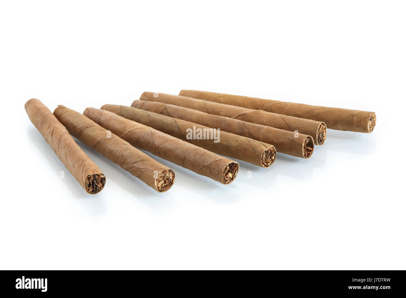 Einige Zigarren in einer Reihe auf weißem Hintergrund mit Reflexion Stockfoto