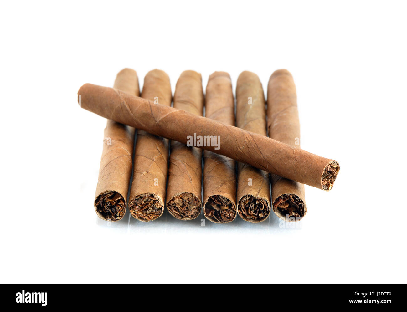 Einige Zigarren in einer Reihe auf weißem Hintergrund Stockfoto