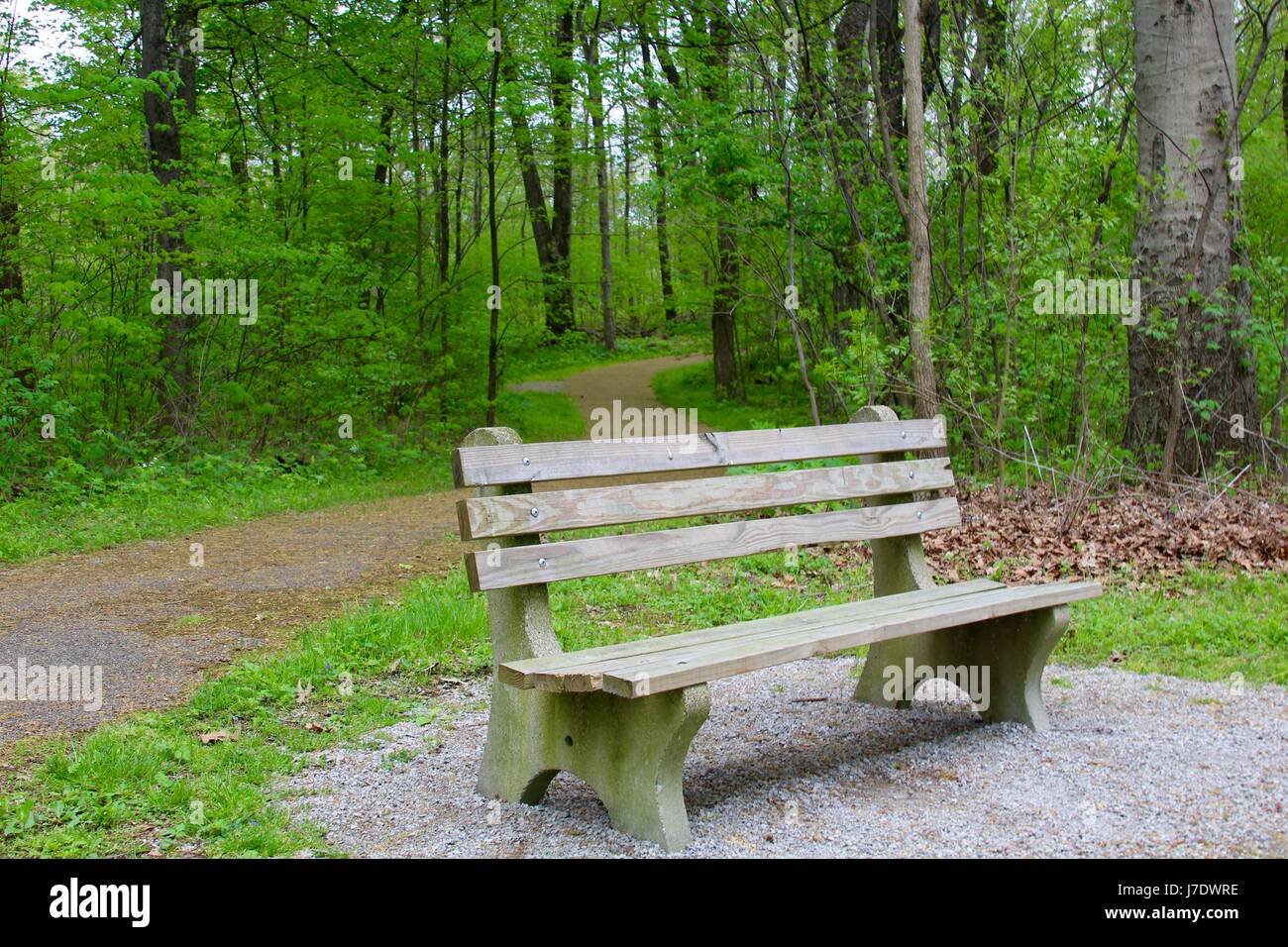 Ein Tag auf den Trails und im Wald. Stockfoto