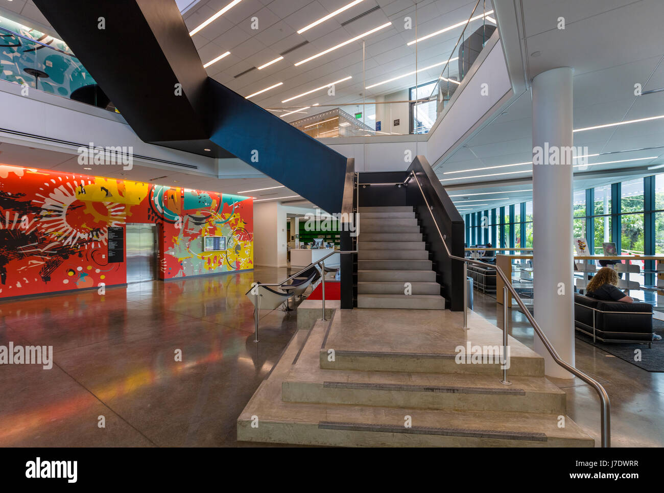 Das Innere des Alfred R. Goldstein Bibliothek am Ringling College of Art & Design in Sarasota Florida Stockfoto