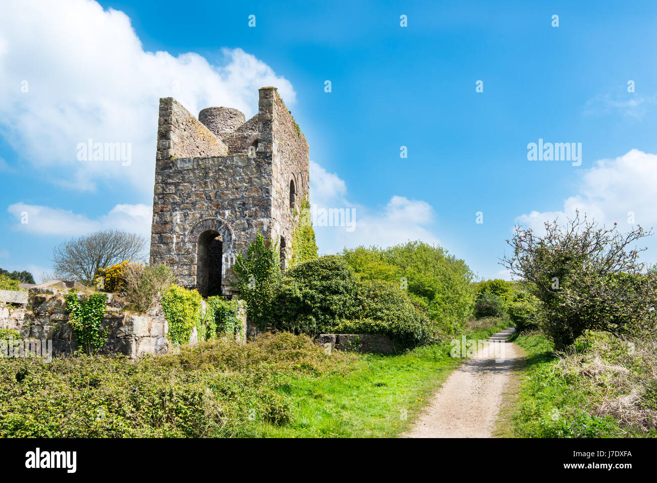 Motor-Haus an der Daubuz-Welle von Süden Wheal Frances Mine in der Nähe von Treskillard, Redruth, Cornwall, UK. Gebäude befindet sich eine 30-Zoll-Engine, die Vereinten Nationen Stockfoto