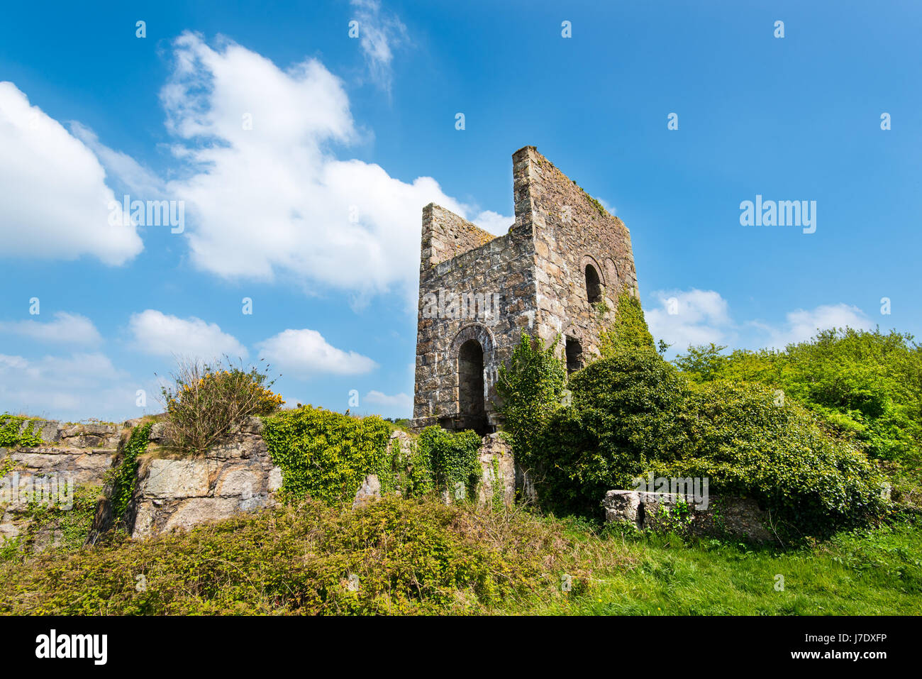 Motor-Haus an der Daubuz-Welle von Süden Wheal Frances Mine in der Nähe von Treskillard, Redruth, Cornwall, UK. Gebäude befindet sich eine 30-Zoll-Engine, die Vereinten Nationen Stockfoto