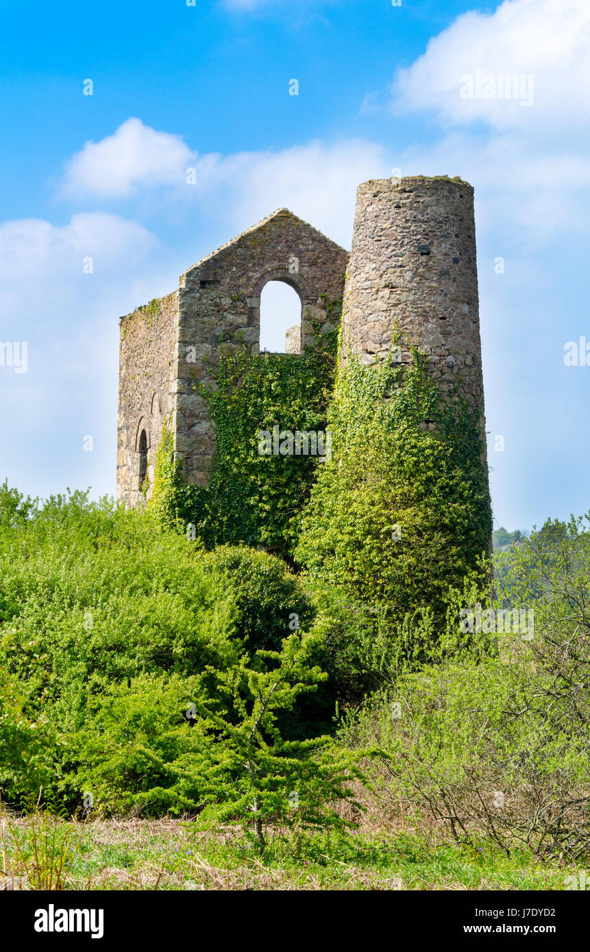 Motor-Haus an der Daubuz-Welle von Süden Wheal Frances Mine in der Nähe von Treskillard, Redruth, Cornwall, UK. Gebäude befindet sich eine 30-Zoll-Engine, die Vereinten Nationen Stockfoto