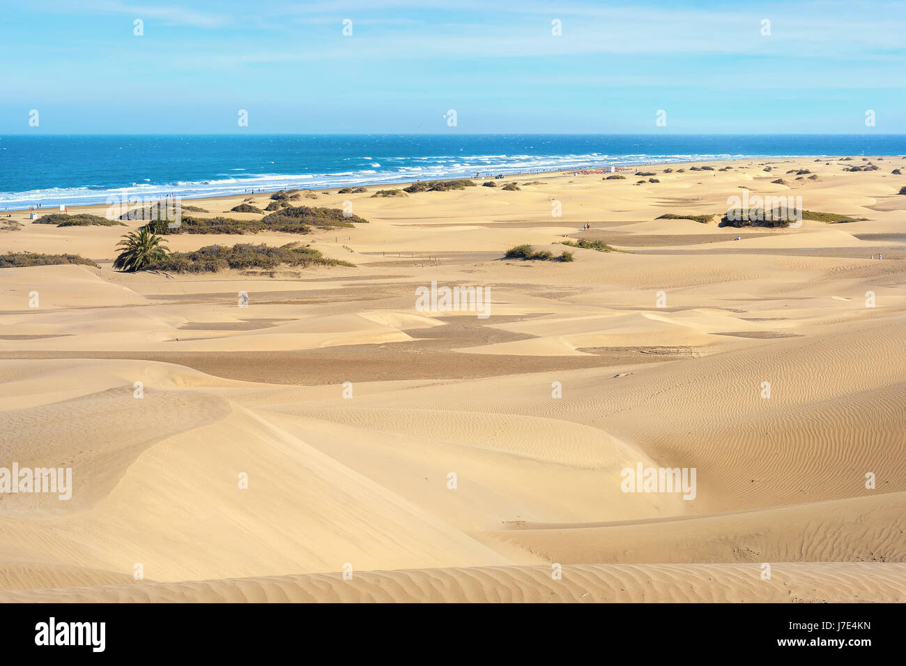 Landschaft mit Sanddünen am Strand von Maspalomas. Gran Canaria, Kanarische Inseln, Spanien Stockfoto