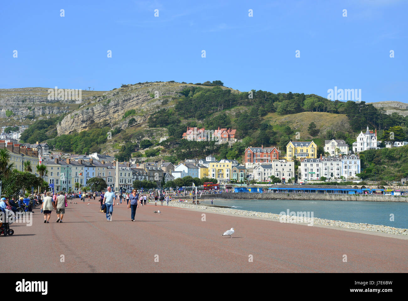 Strandpromenade, Llandudno, Conwy County Borough (Bwrdeistref Sirol Conwy), Wales, Vereinigtes Königreich Stockfoto