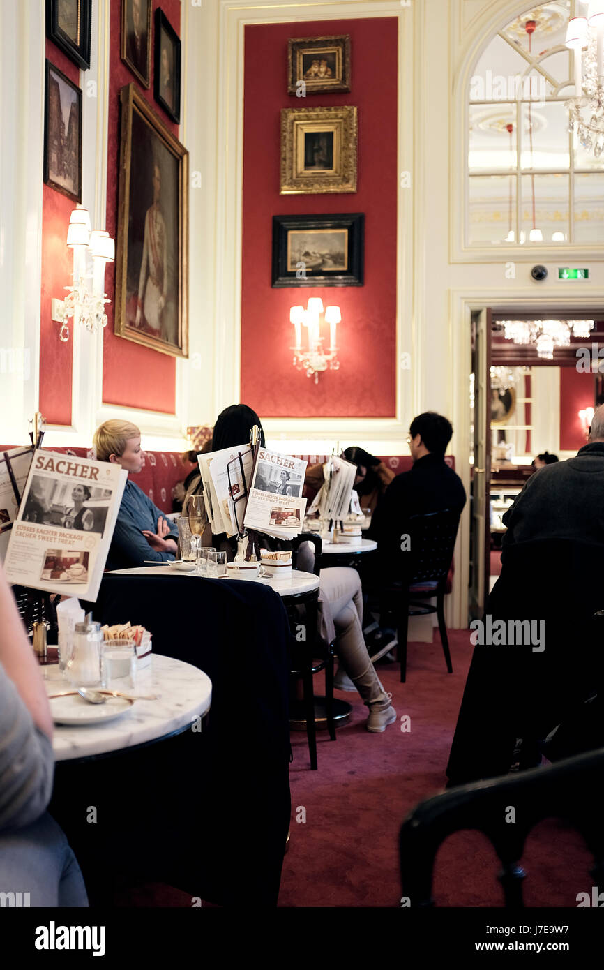 Sacher Tort, Wien, Österreich Stockfoto