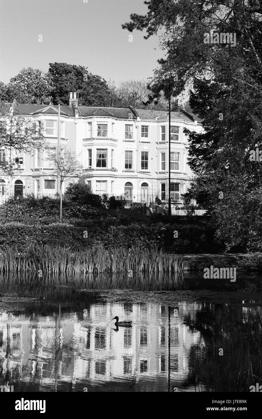 Alexandra Park bei Hastings, East Sussex, UK, mit See und Häuser mit Blick auf den park Stockfoto
