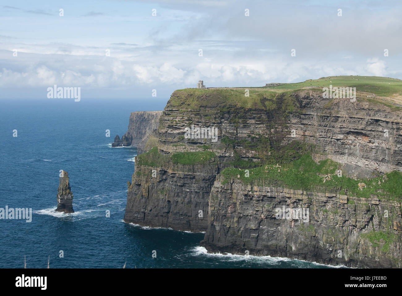 Klippen von Moher, Irland Stockfoto