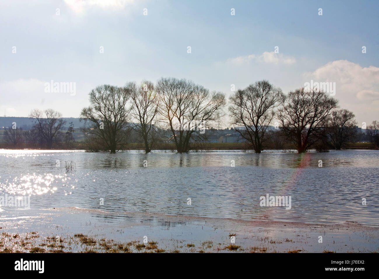 Baum Feld Hessen Flut Flut Region Deutschland Bundesrepublik Deutschland Stockfoto