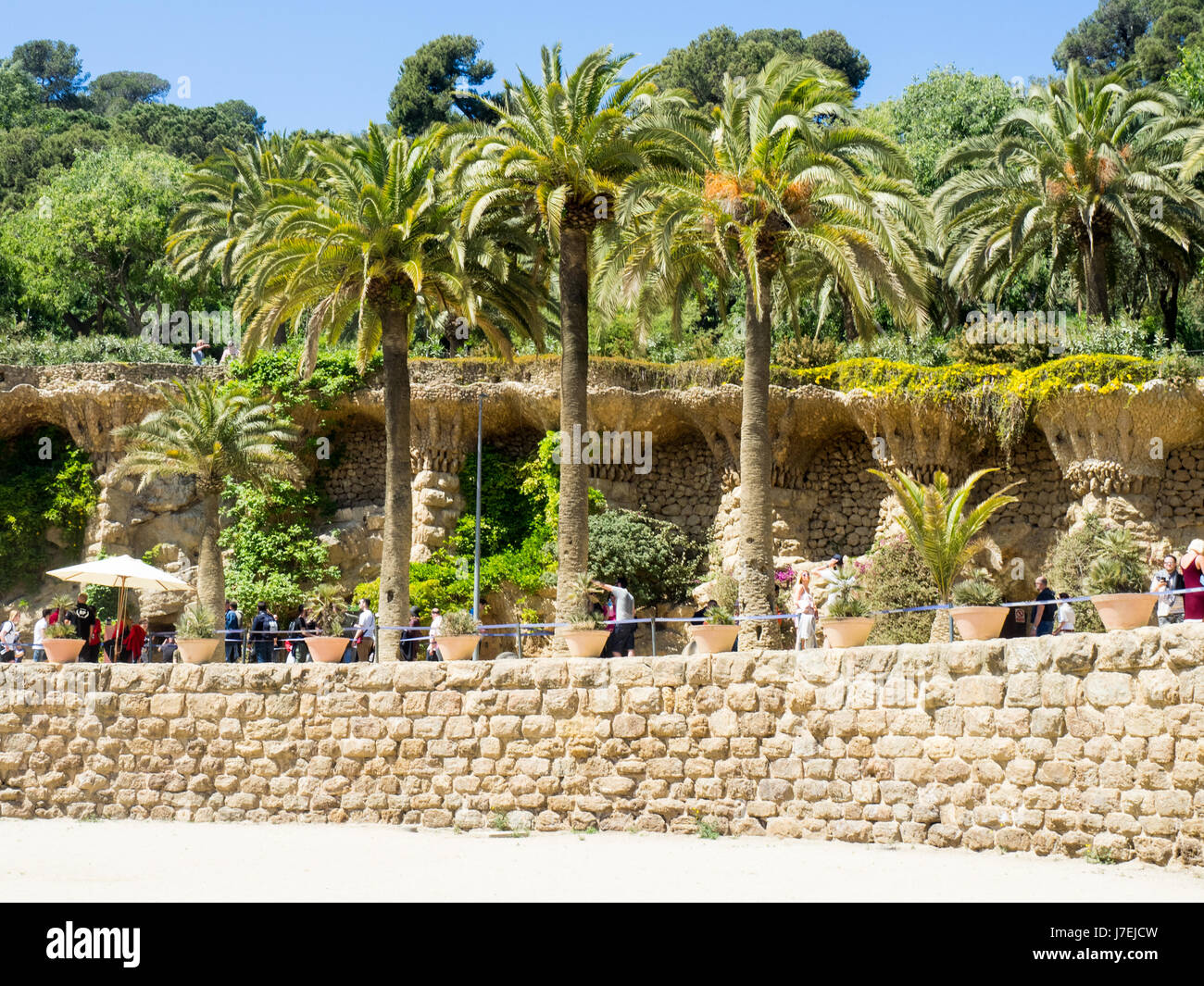 Stein Mauer, Viadukt und Palmen Bäume am Antoni Gaudis Park Güell, Barcelona, Spanien Stockfoto