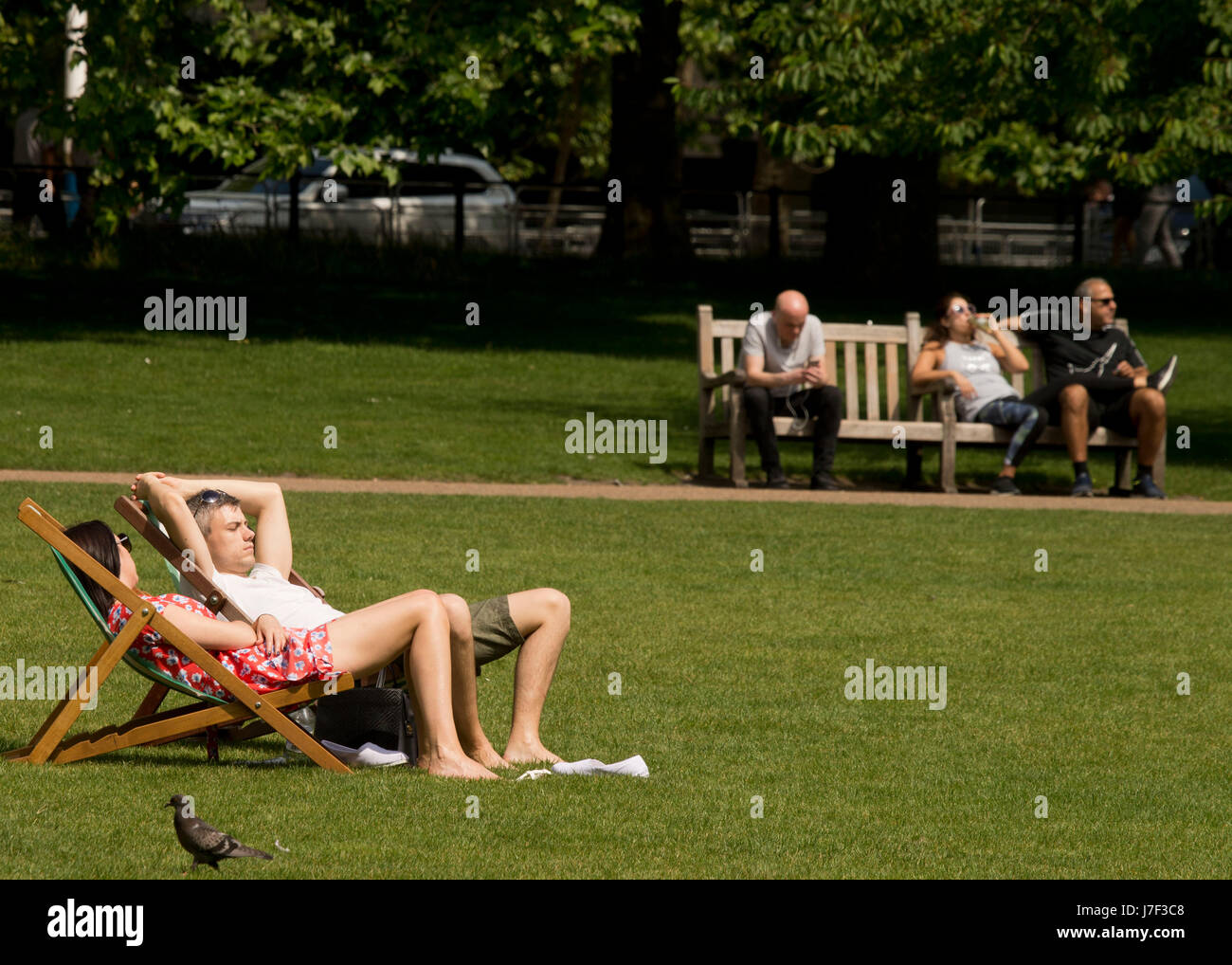 London, UK. 25. Mai 2017. 25. Mai 2017. Menschen genießen die Sonne in St James Park, London Credit: Sebastian Remme/Alamy Live News Stockfoto