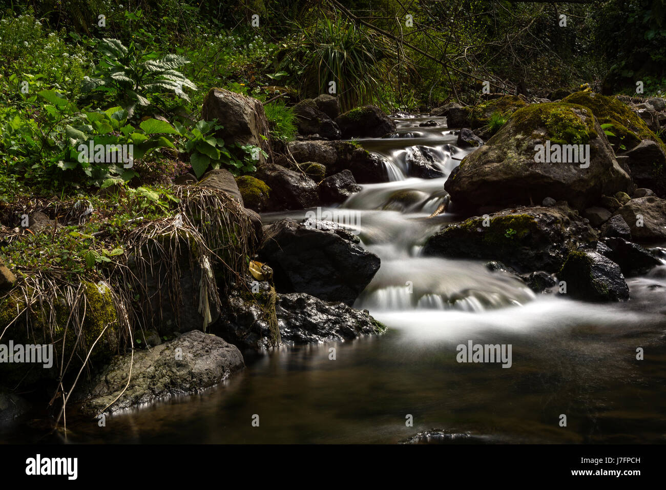 Fırtına Creek in Camlihemsin, Rize Stockfoto