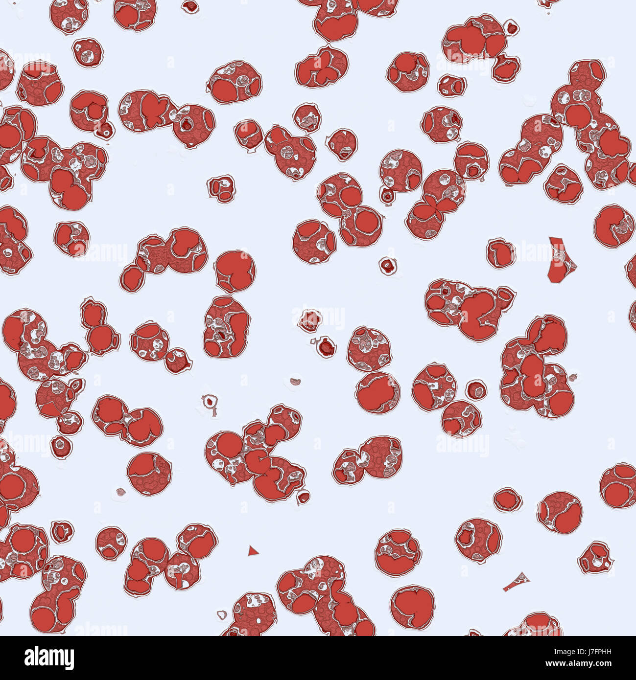 Schließen Sie Gesundheit medizinisch medizinische Komposition Grafik Wissenschaft menschlicher Mensch Stockfoto