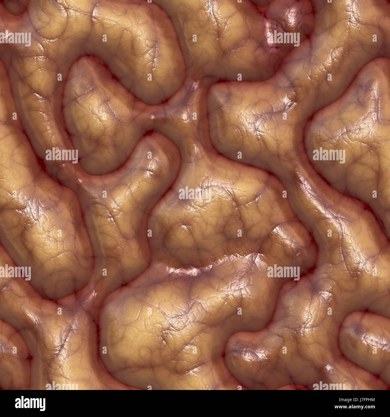 Schließen Sie Gesundheit Makro Nahaufnahme Makro Eintritt schließen Sie medizinisch medizinische Ansicht Stockfoto