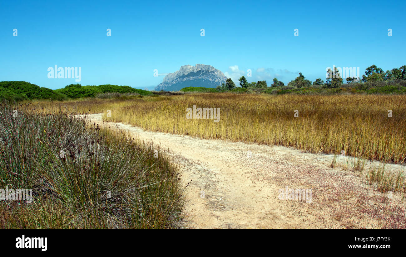 mediterrane Salz Wasser Wasser Meer Ozean Küste Mediterran Sardinien Italien Insel Stockfoto