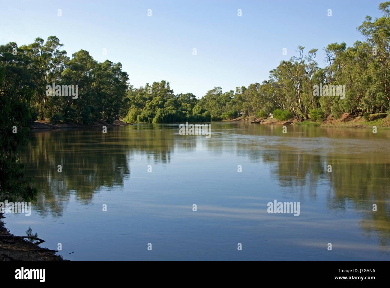 blauer Baum Bäume Australien Wasserlauf ruhigen malerischen Reflexionen ruhig Stockfoto