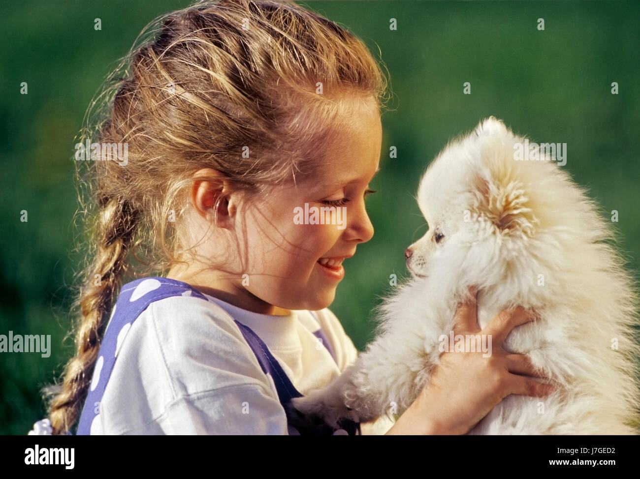 Kind spielt mit Hund Stockfoto