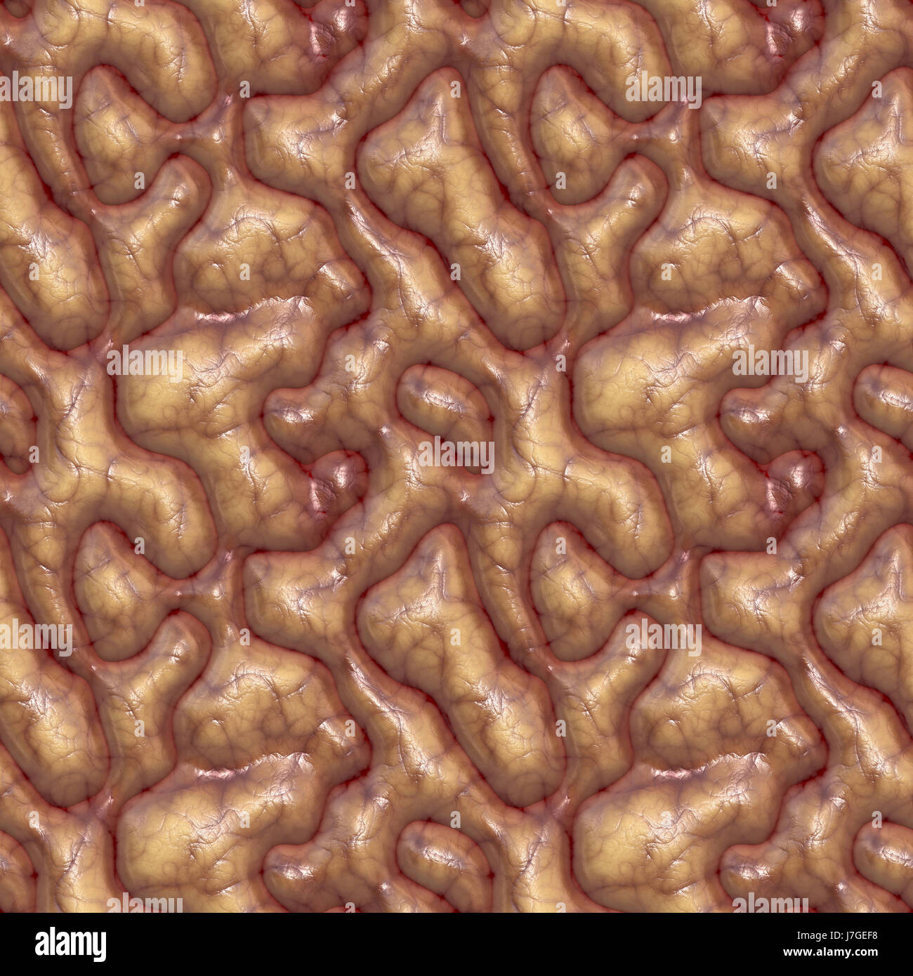 Schließen Sie Gesundheit Makro Nahaufnahme Makro Eintritt schließen Sie medizinisch medizinische Ansicht Stockfoto