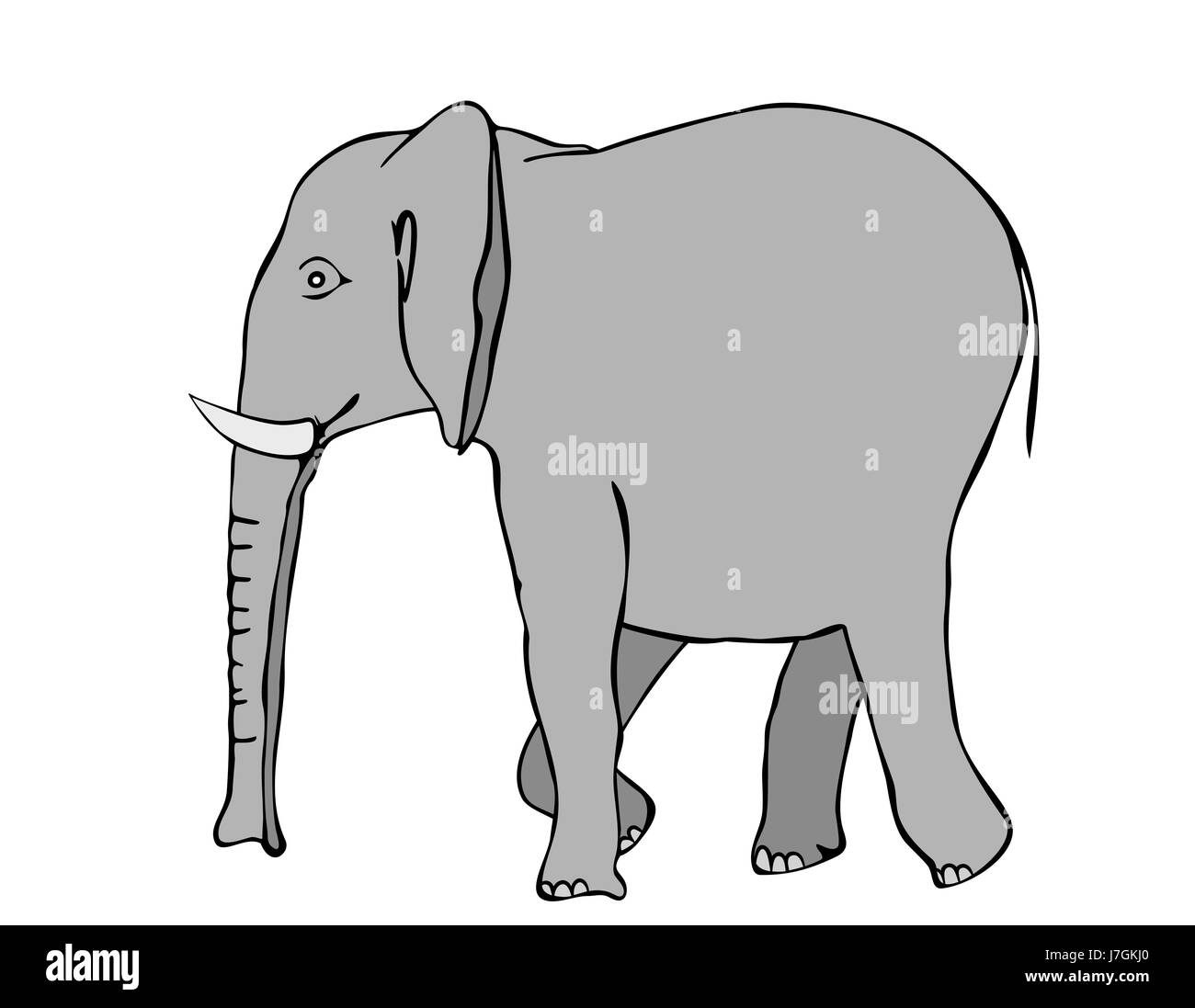 Säugetier Elefant riesige Zeichnung Stamm große große enorme extrem leistungsfähige Stockfoto